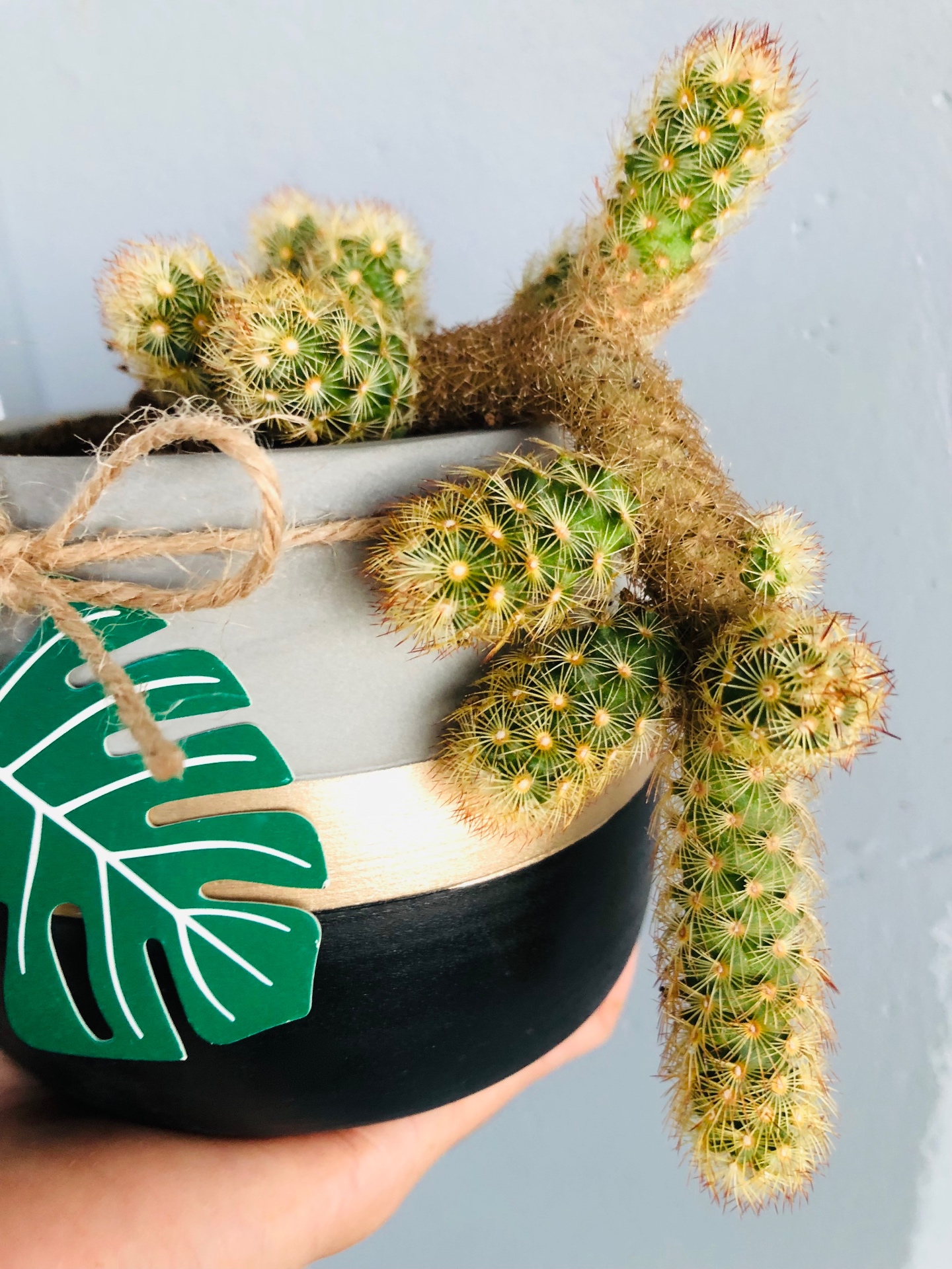 Handmade planter